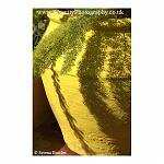 Bright Yellow Plant Pot