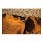 Rusted Drum