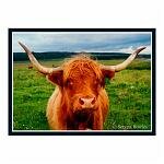 Scotland