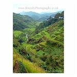 The Philippines