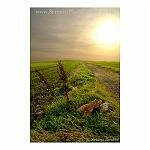 Clifftop Path