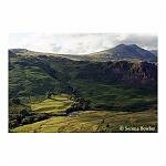 Countryside, Lake District 19