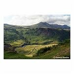 Countryside, Lake District 25