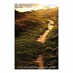 Follow Me