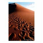 Footsteps in the Sand