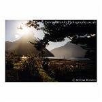 The sun shines down on the watery scene in the southern tip of New Zealand.