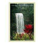 A waterfall in tropical Far North Queensland, Australia.