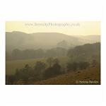 Misty Kent Hills