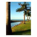 A line of palm trees alond the edge of an inlet, leading out to see. Queensland, Australia