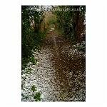 Roman Road