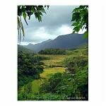 Storm coming in over the rice terraces of northern Luzon, the Philippines.