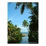 Palm trees overhang an inlet leading to the sea. Siquijor, the Philippines.