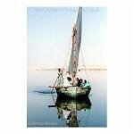 A Felucca ferries people across the Nile river. Egypt