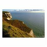 From the White Cliffs