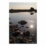 Rock Pool