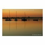Sleeping Sail Boats