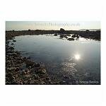 Sun Pool