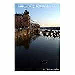 By the Vltava River 06