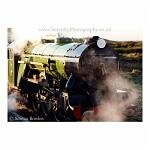 Green steam engine puffs smoke. One of the Romney Hythe and Dymchurch narrow gauge trains.