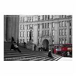 London Buses