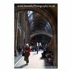 Natural History Museum Interior
