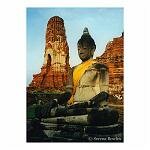 Robed Buddha