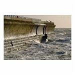 Rough Seas