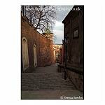 The Steps to Prague Castle