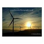 The silhouette of energy-providing windmills at sunset. Western Australia.